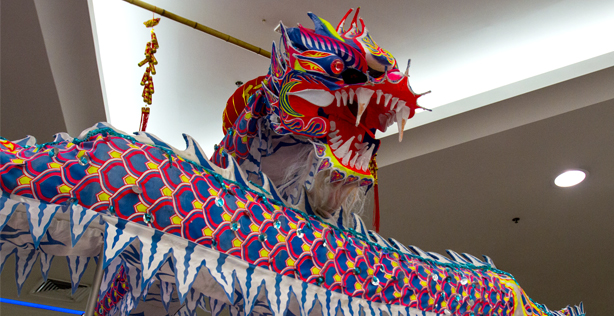dragon - Experience an Authentic Chinese New Year