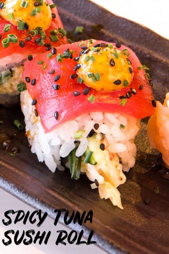hanazushi Recommendation Spicy Tuna Sushi Roll 340x510 - Hana Zushi