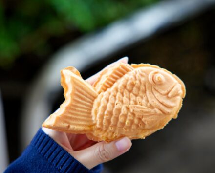 Papas Pancakes Taiyaki 2 440x354 - Taiyaki