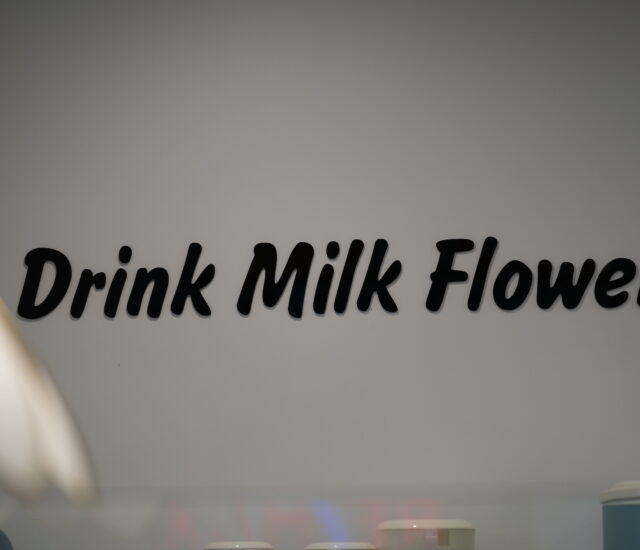 A7402793 640x550 - Milk Flower