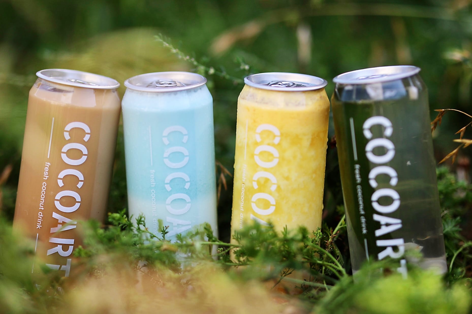 Coconut Drinks