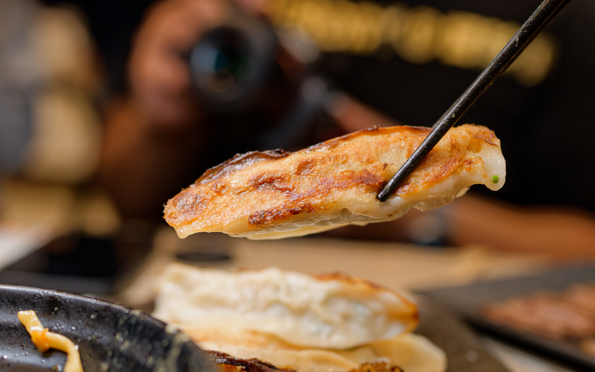 Pan-fried Dumplings