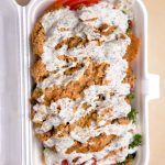Kebab Zone Falafel Plate