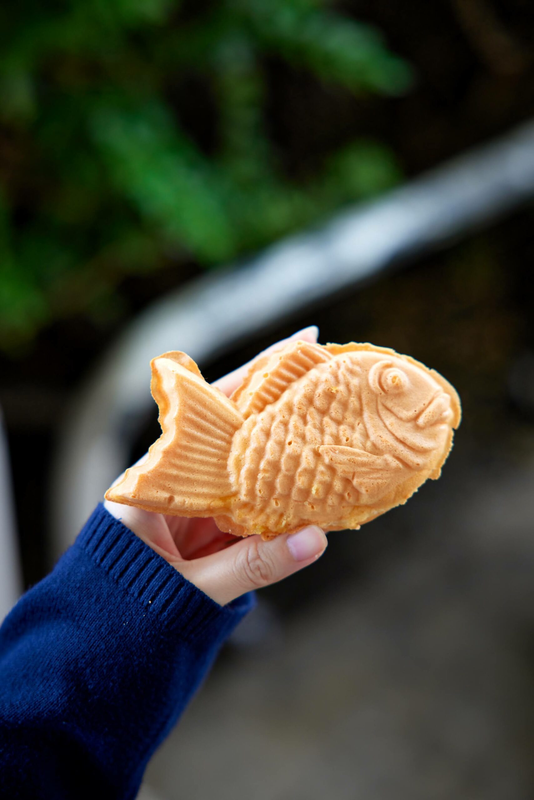 Taiyaki