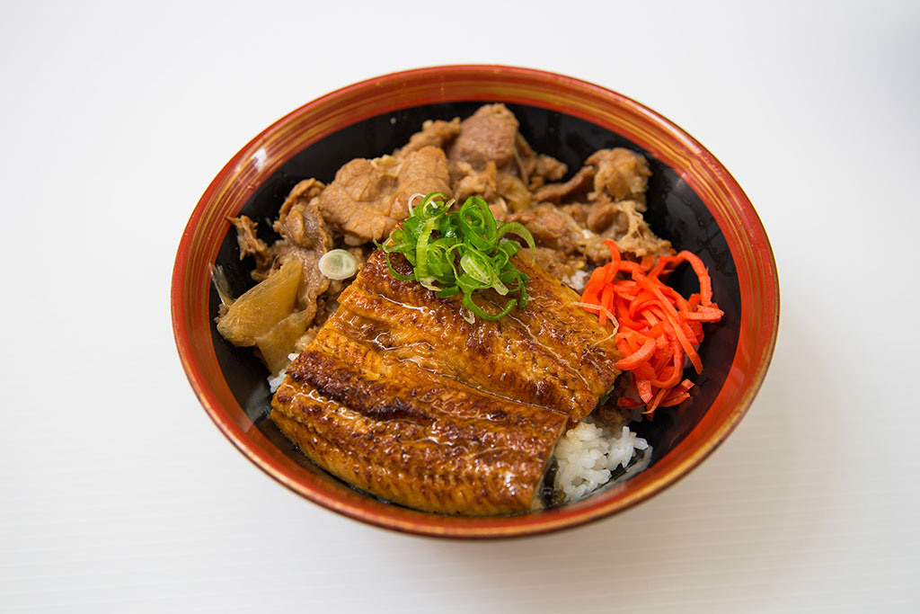 Una-gyu Don