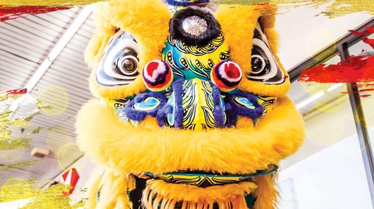 30 Years – 30 Lions!